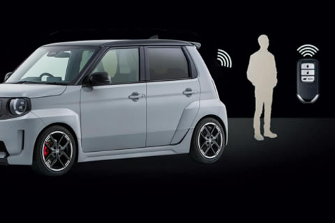 <strong>Walk Away Auto Lock</strong>